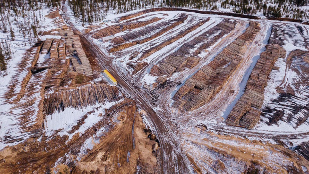 Aerial view of a snow-covered log yard with long rows of stacked logs