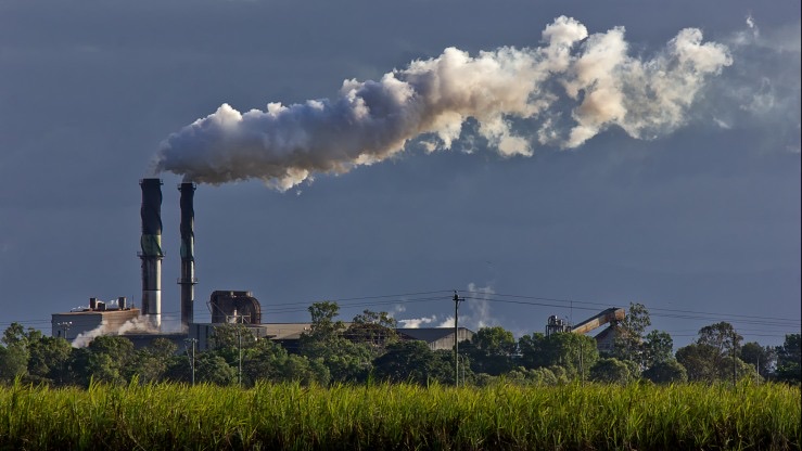 Wood pellet production facility